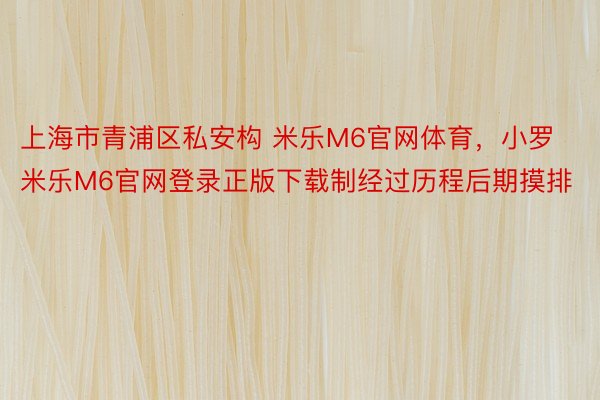 上海市青浦区私安构 米乐M6官网体育，小罗米乐M6官网登录正版下载制经过历程后期摸排